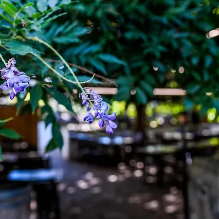 Logis Du Chene 酒店 2*