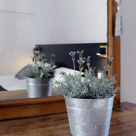 酒店 Logis Du Chene 伊特克萨苏