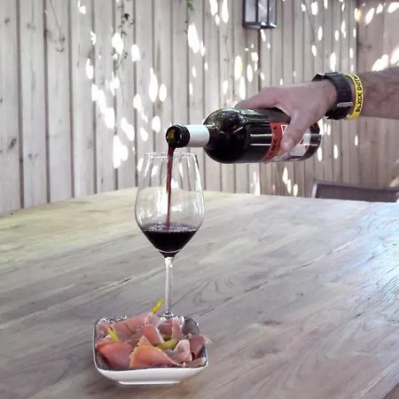 Logis Du Chene 酒店