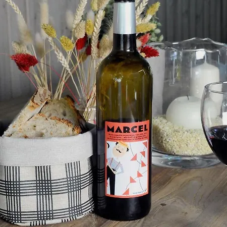 Logis Du Chene 酒店 伊特克萨苏