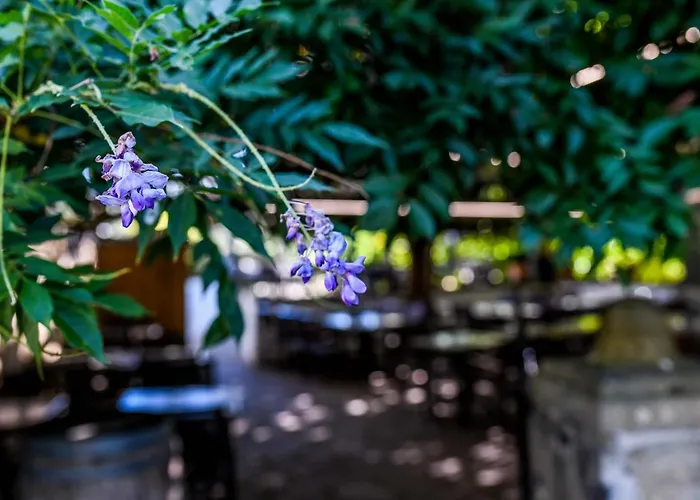 Logis Du Chene Hotel 2*