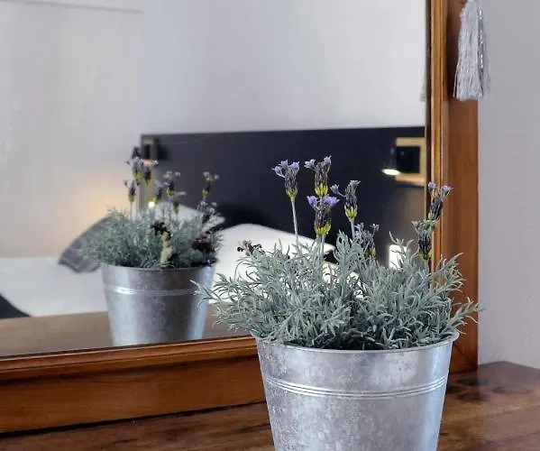 Отель Logis Du Chene Итсасу