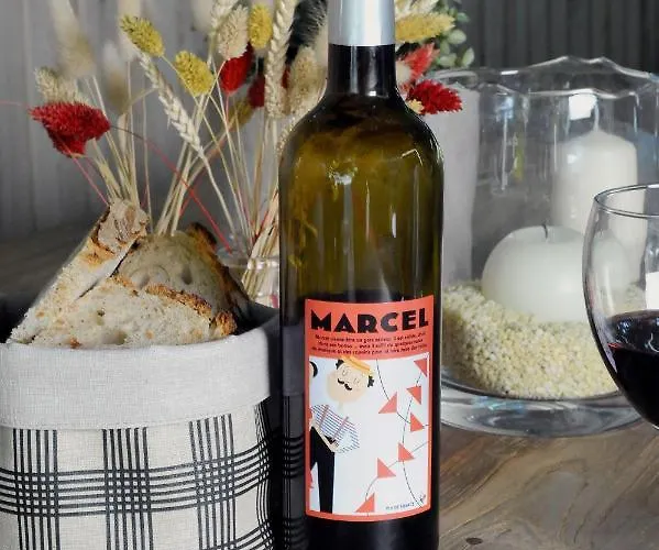 Logis Du Chene Отель Итсасу